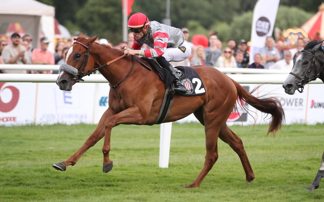 DEBUTANTIN GLEICH TOP