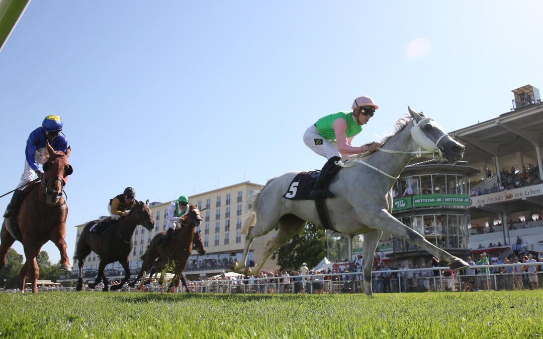 NOCH 42 FÜR 29 AN 5