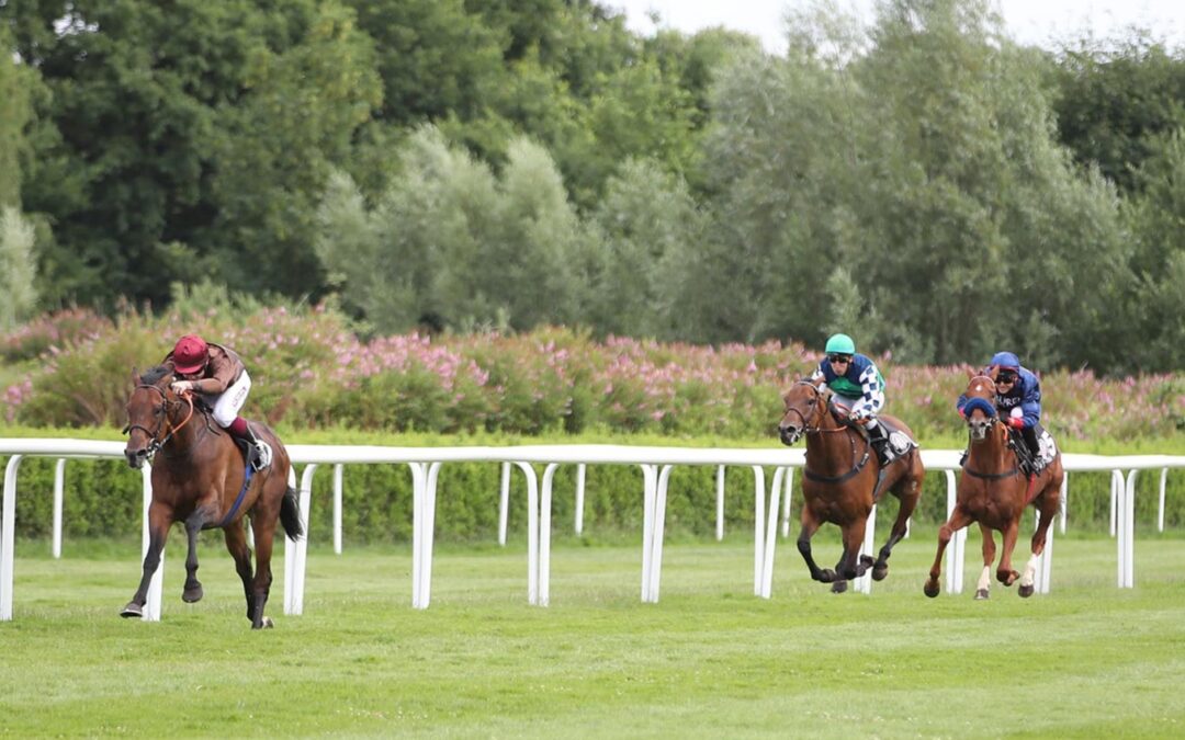 NUR DER FAVORIT ZU STARK