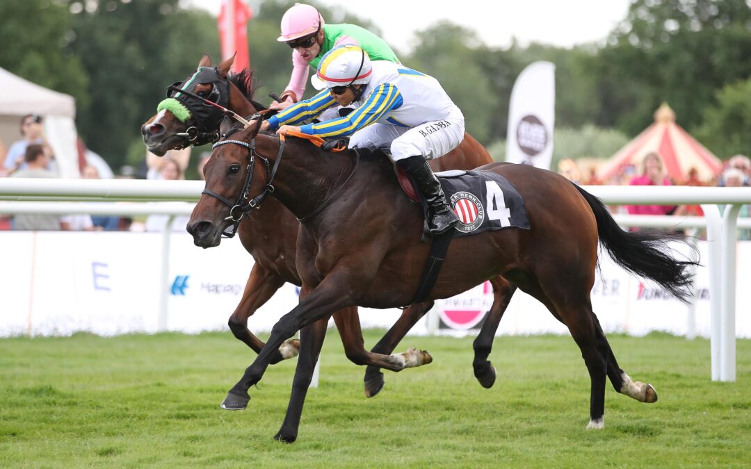 BLACKTYPE PLACIERUNG