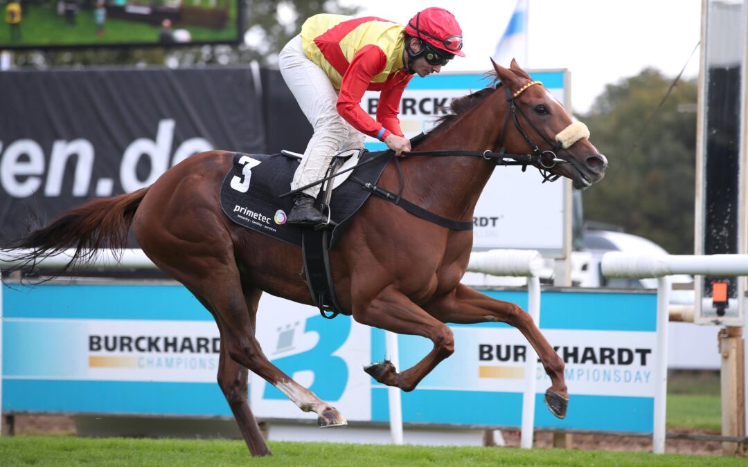 DRITTEN SIEG IM BLICK