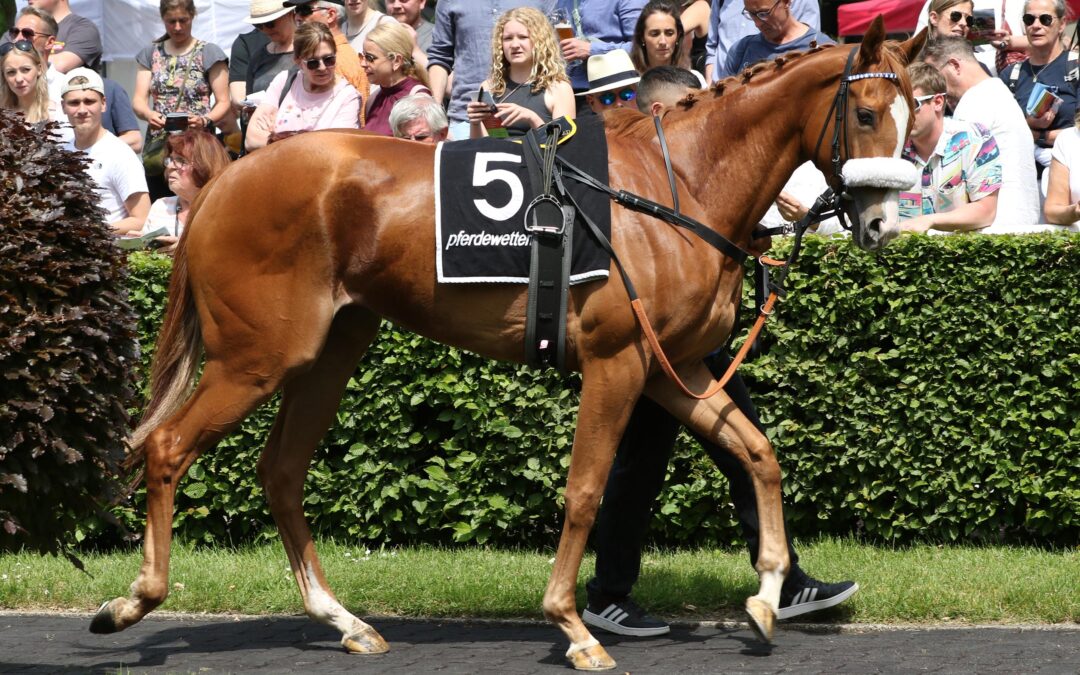 EINE LADY IN DRESDEN
