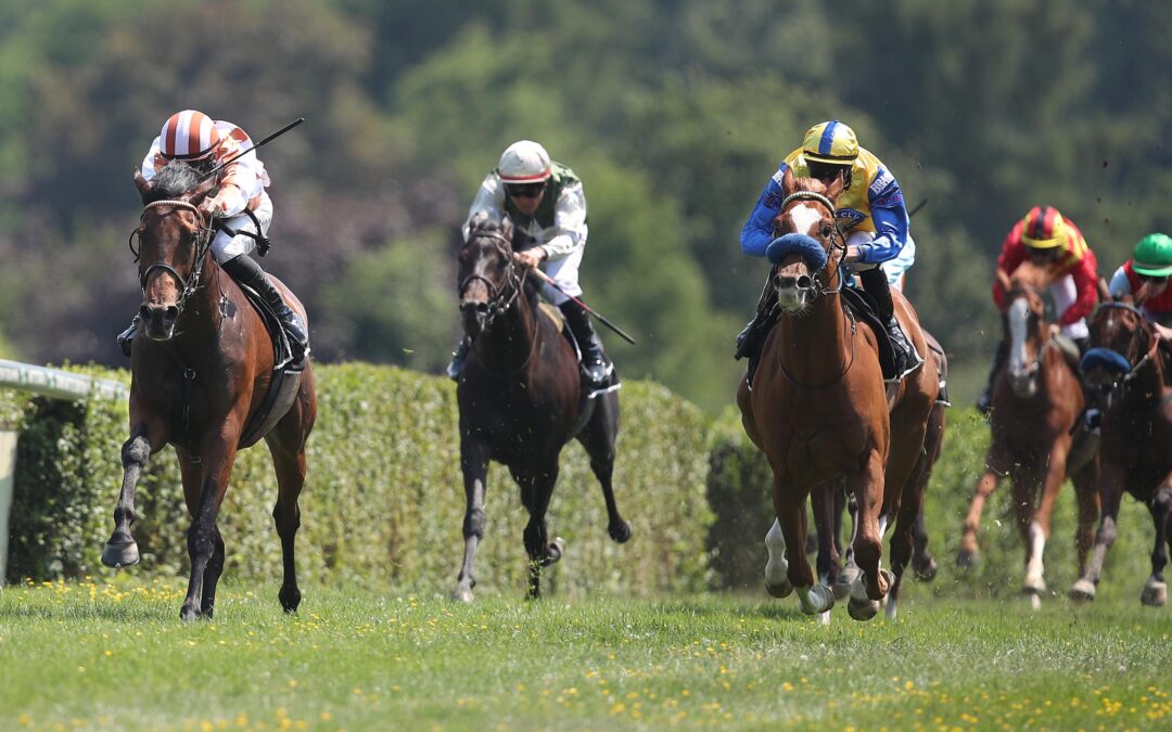 WOHL KEIN STUTENWETTER