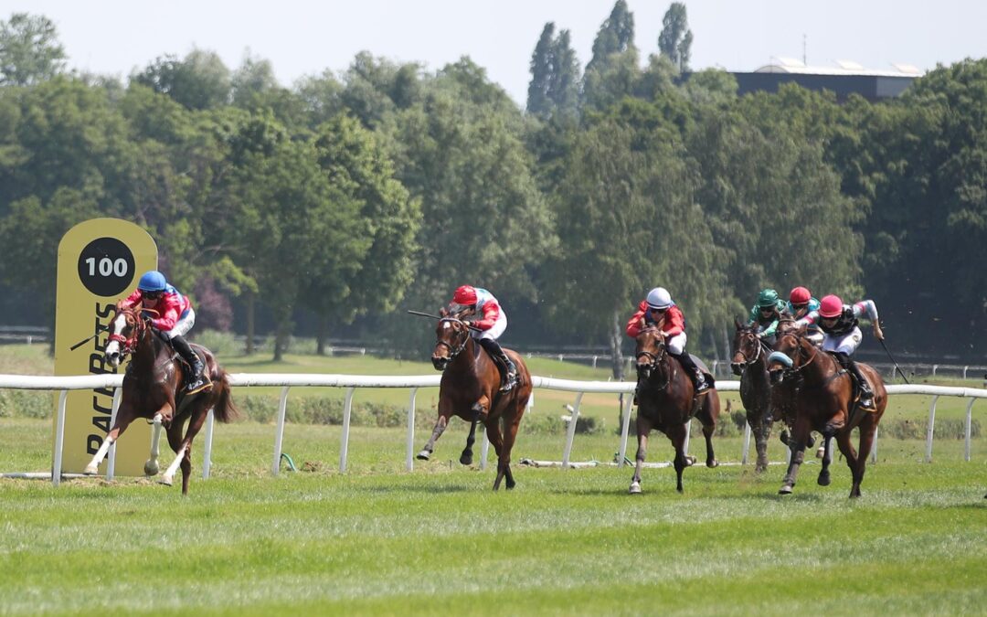 UNGLÜCKLICH ABER PLACIERT