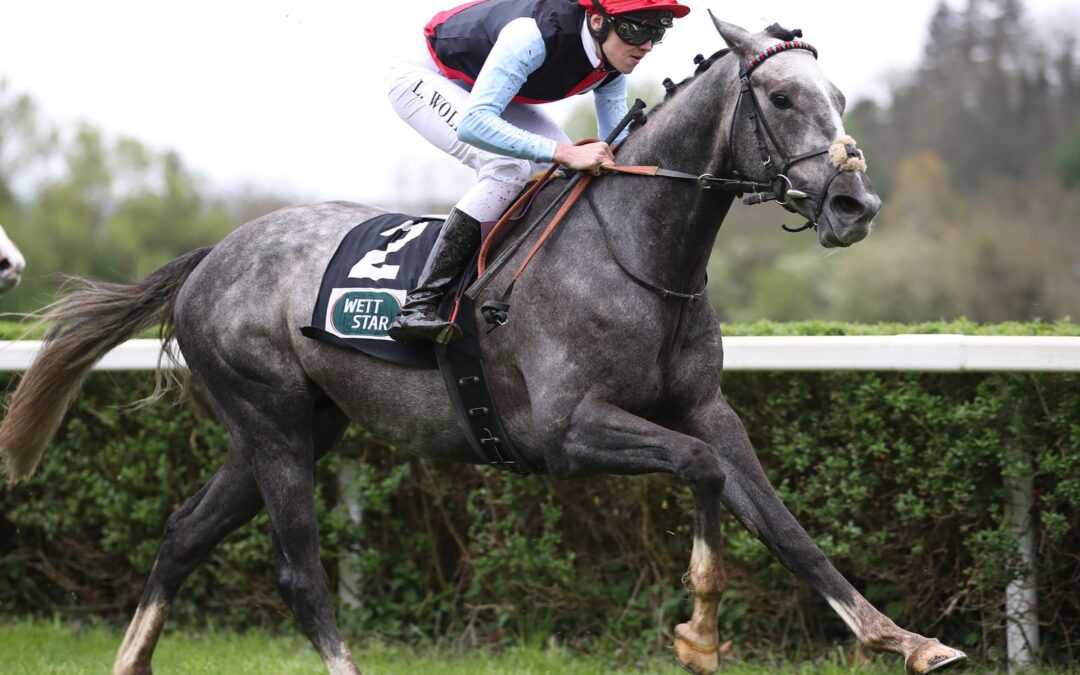 DERBY TRIAL UND MAIDEN
