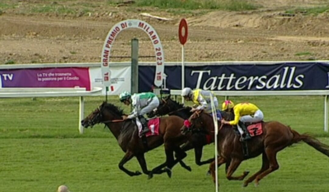 WIEDER GRUPPE PLACIERT