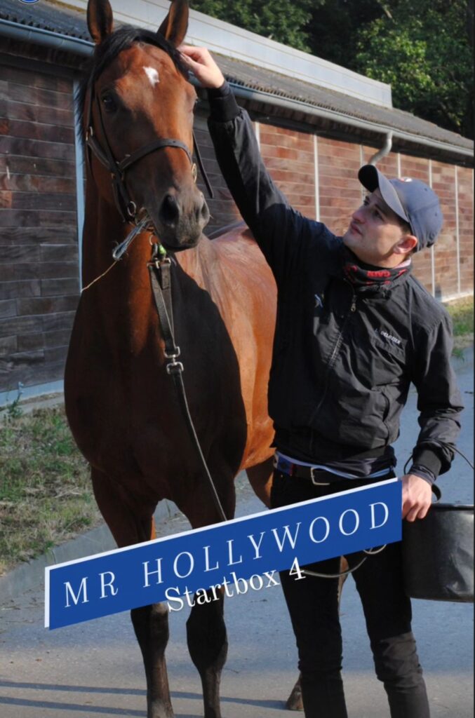 MR. HOLLYWOOD DER ACHTE ???