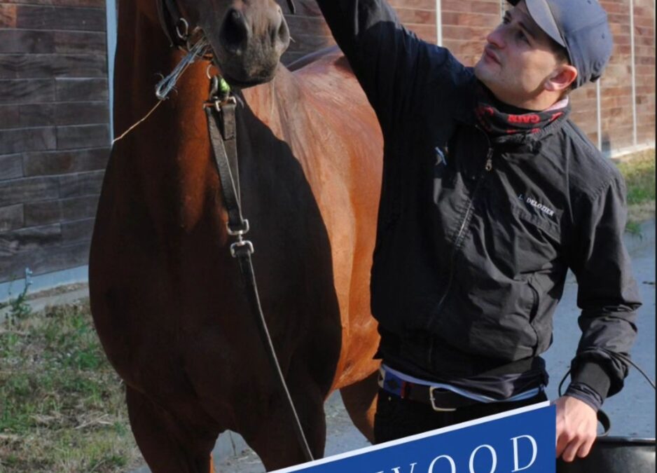 MR. HOLLYWOOD DER ACHTE ???