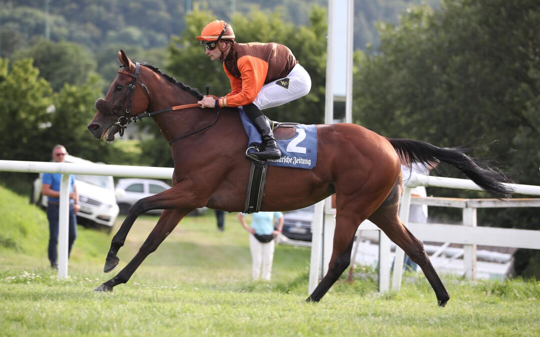 DREI AUS DREI FÜR KOFFI KICK