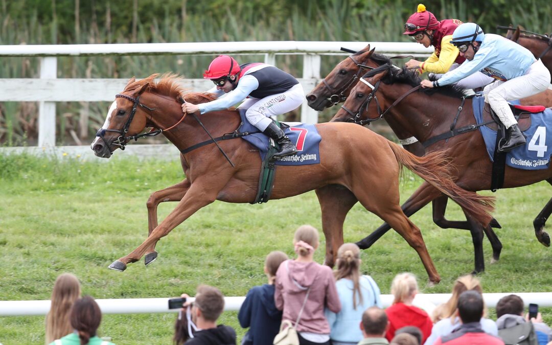 WIE ERWARTET OCEANIA