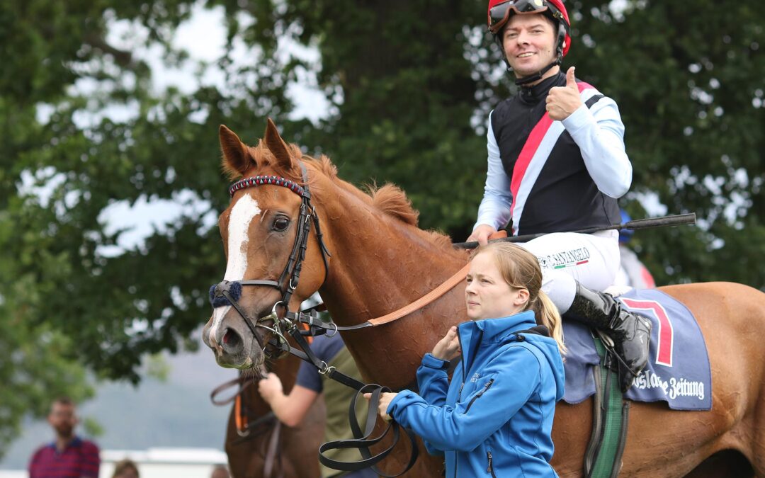 DAS SAGTE DER SIEGREITER