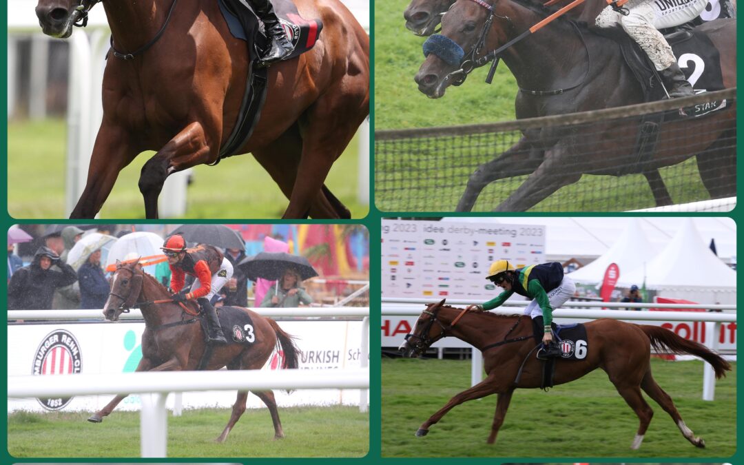 SIEBEN AUF EINEN STREICH