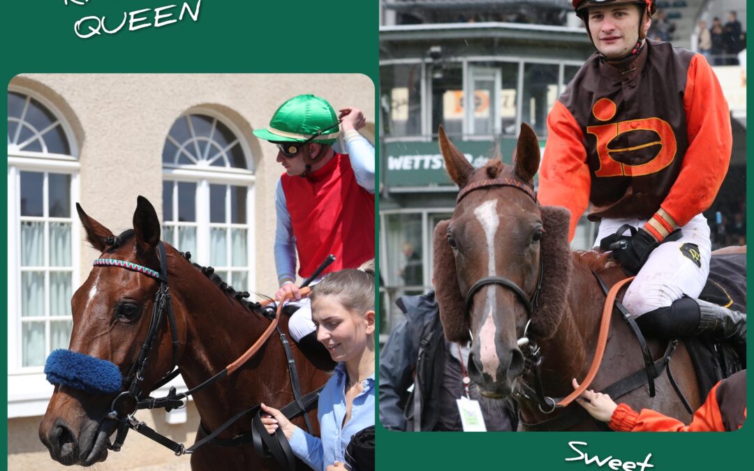 AUCH ZWEI AN TAG ZWEI