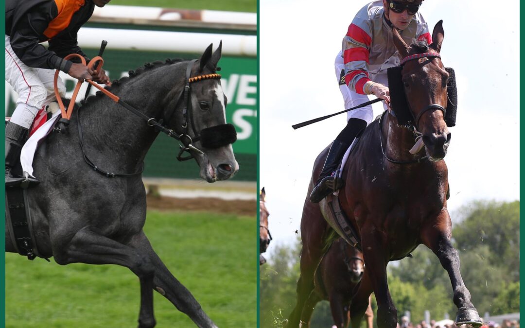 DOPPELSPITZE IM HARZ