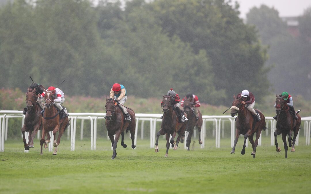 PLÄTZE SECHS UND ACHT