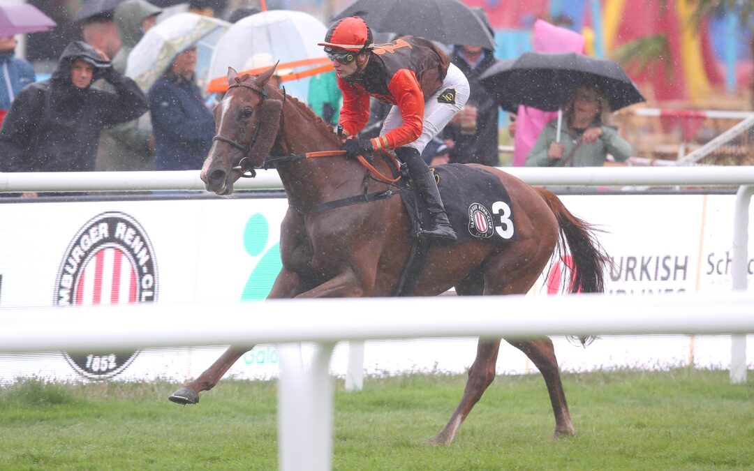 ENDLICH SWEET SATURDAY