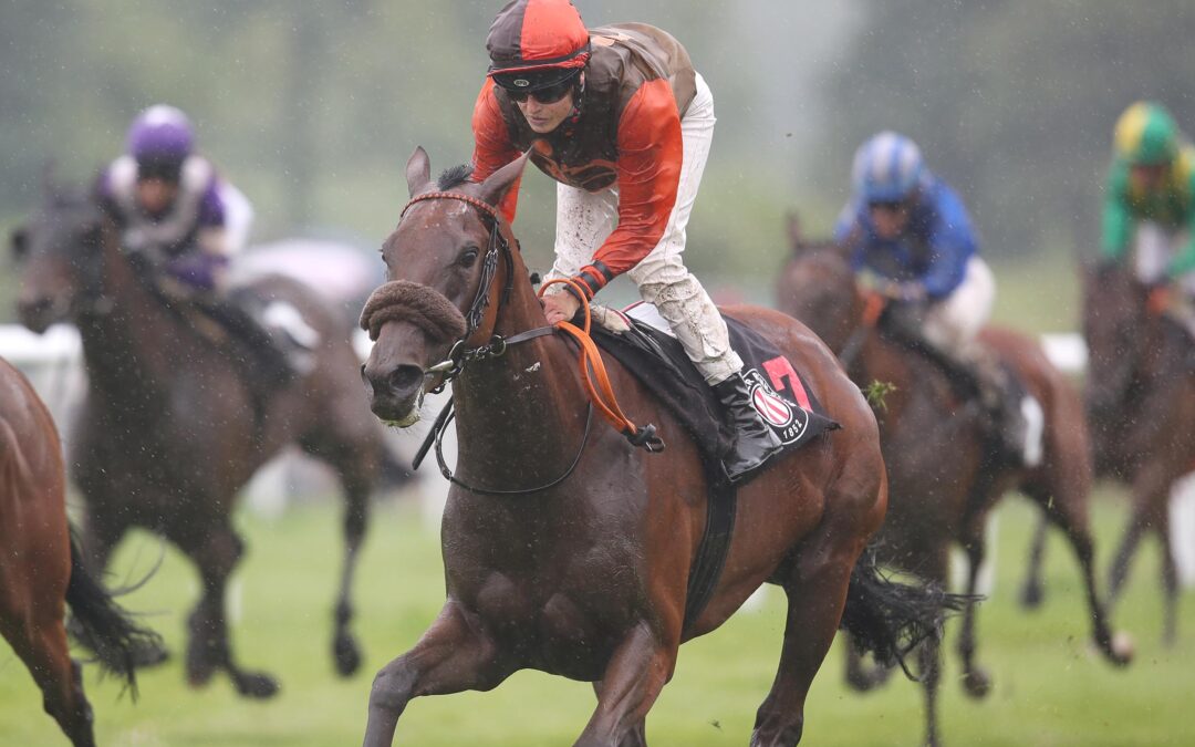 KOFFI KICK UNGESCHLAGEN