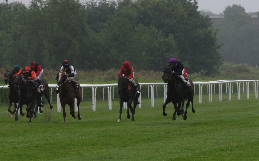 FÜNFTE IM AUSGLEICH IV