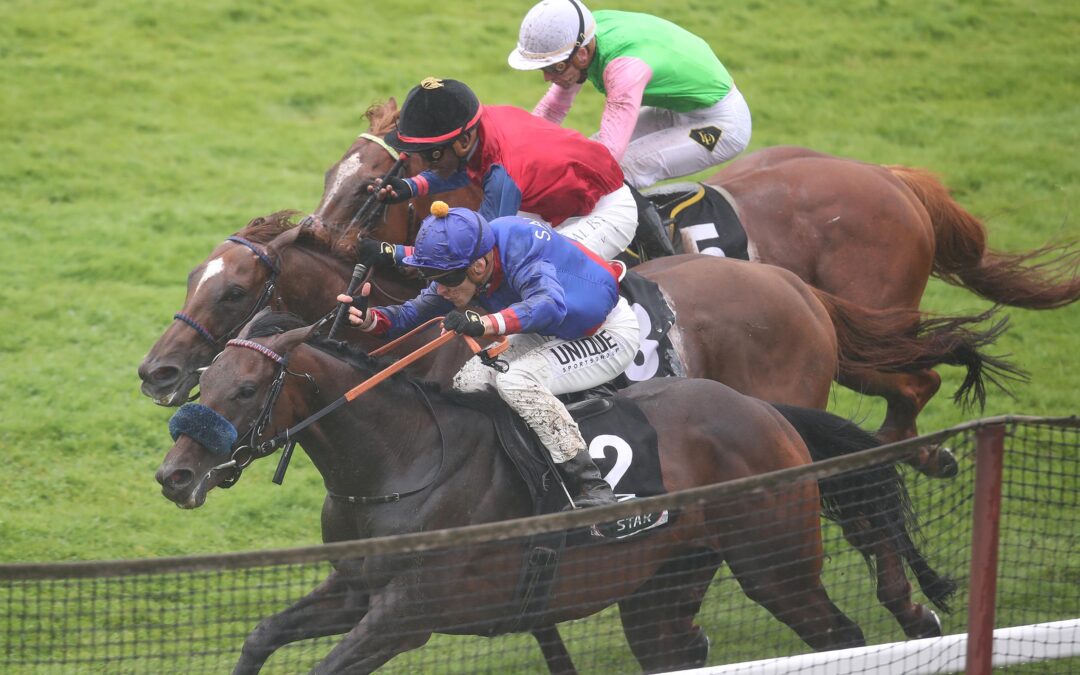 EINS UND ZWEI IM “HANSA”