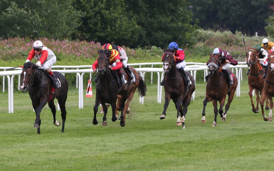 VIERTER IM MEILEN BBAG