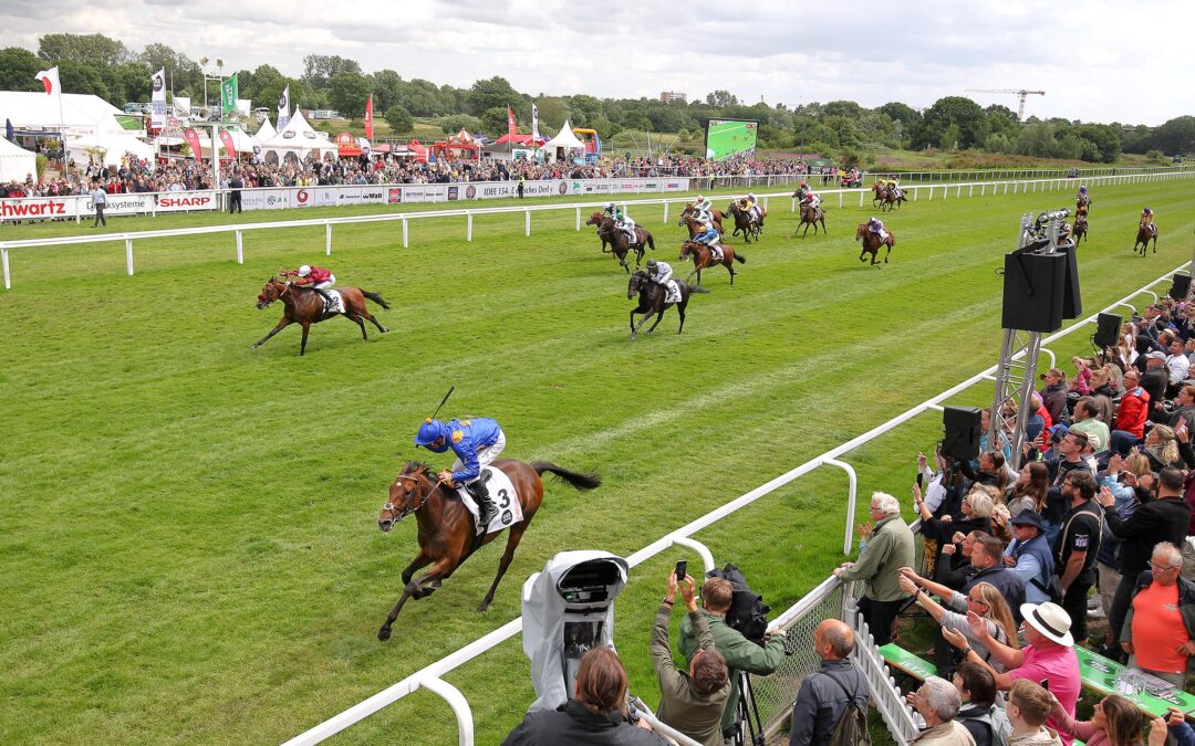 STARKER MR. HOLLYWOOD