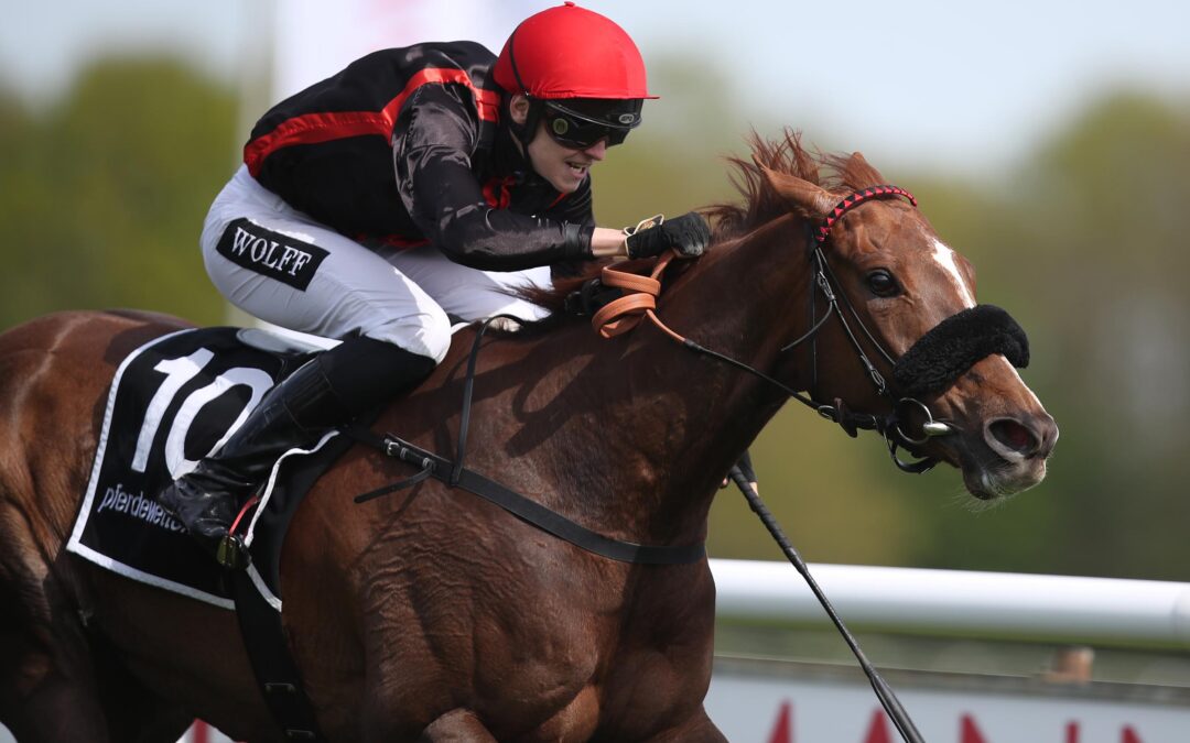 AUF DIE VENT D’ETE