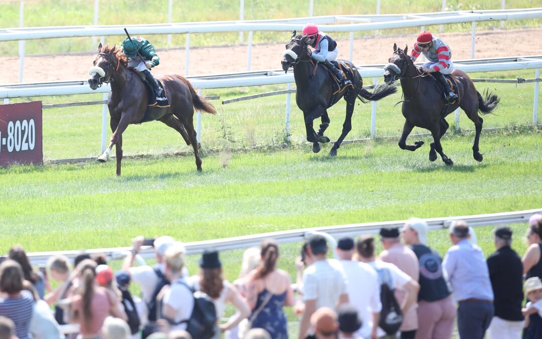 EHRENPLATZ ALS WALLACH