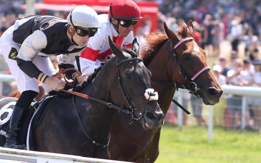 KLEINES GELD ZUM SCHLUß