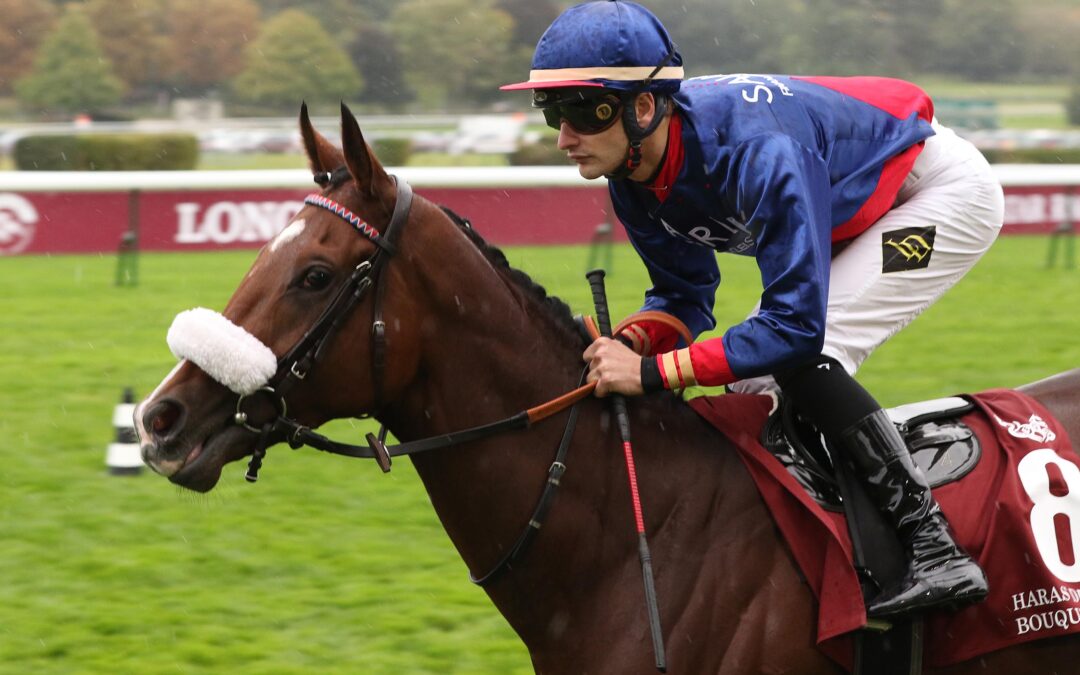 ZWEITER TREFFER IM BLICK