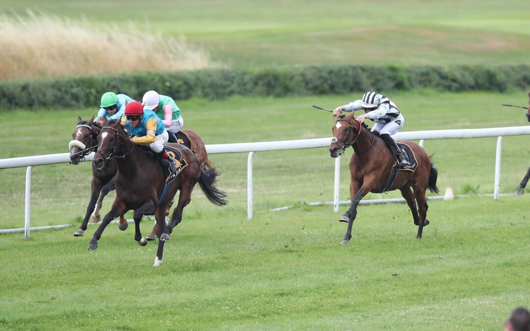 GARPUR MIT PLATZGELD