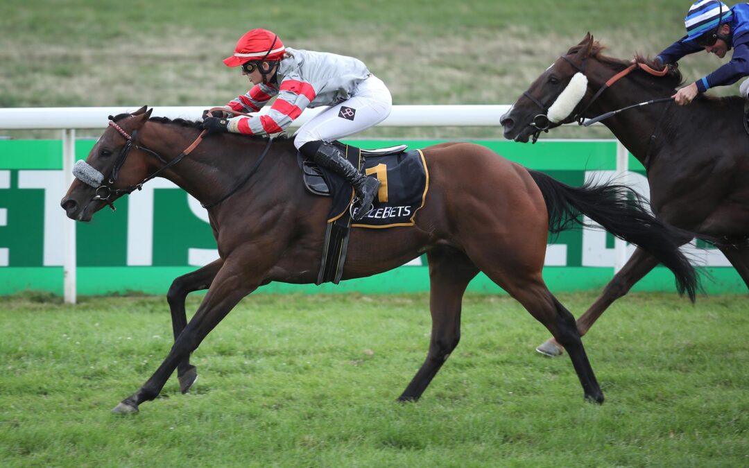 SCHNELL ENTSCHÄDIGT