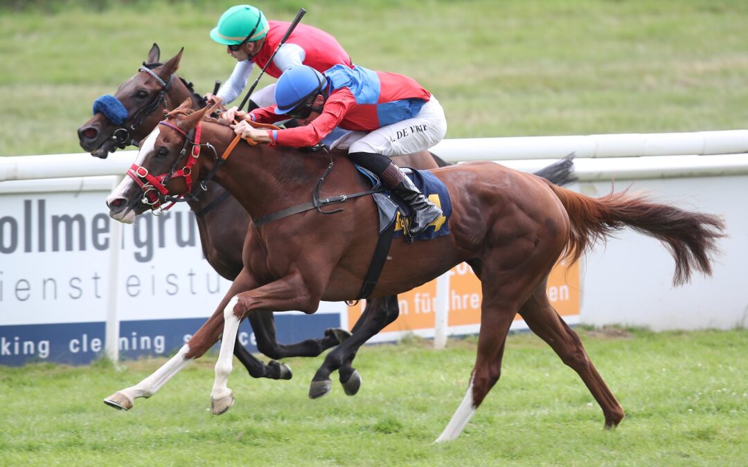 TOLLER EHRENPLATZ IM TRIAL