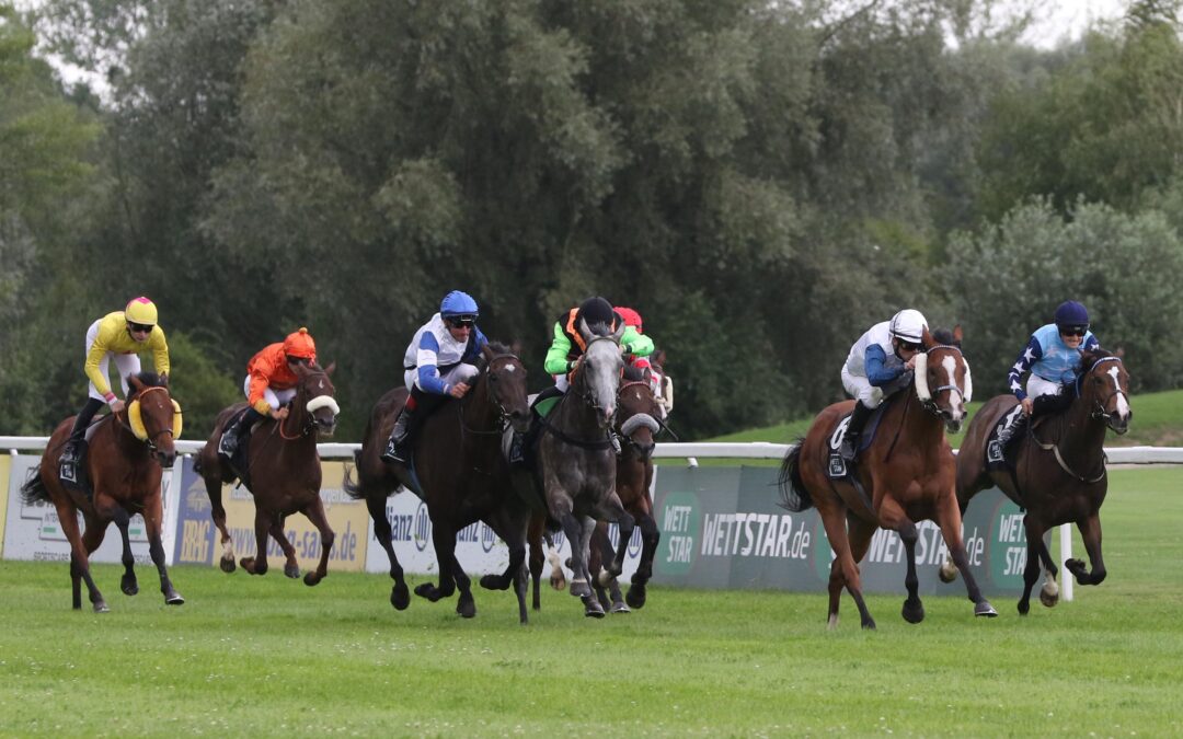 DOPPEL TRUMPF STICHT NICHT