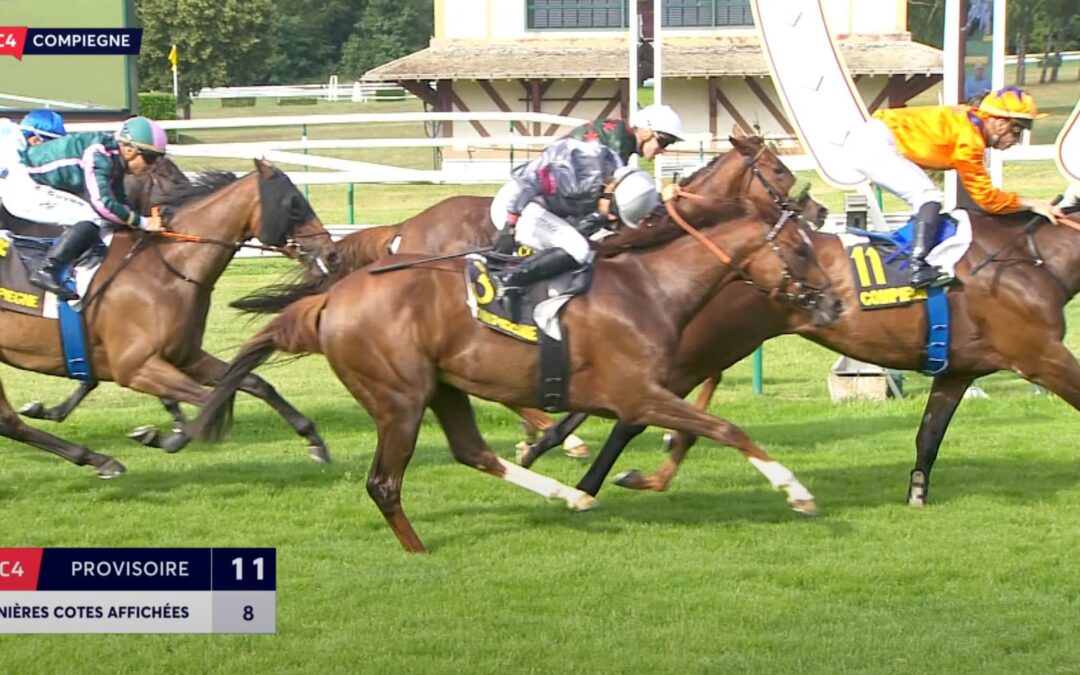 ERST GANZ SPÄT ABGEFANGEN