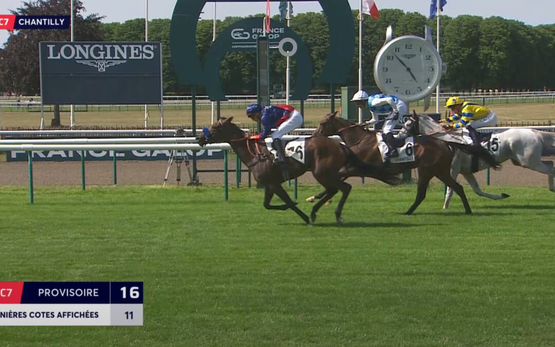 ENDLICH MODERN VALUE