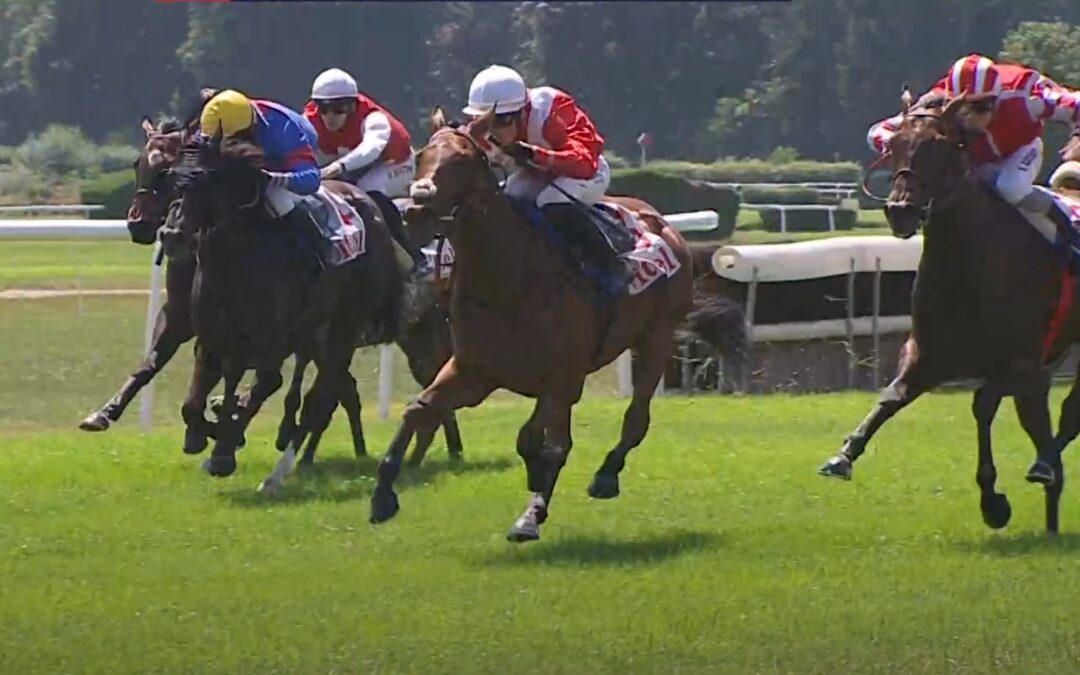 AUCH IM AUSGLEICH TOP