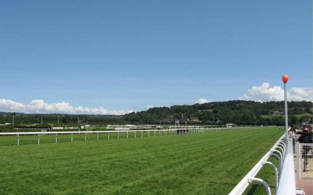 DUO IN CLAIREFONTAINE