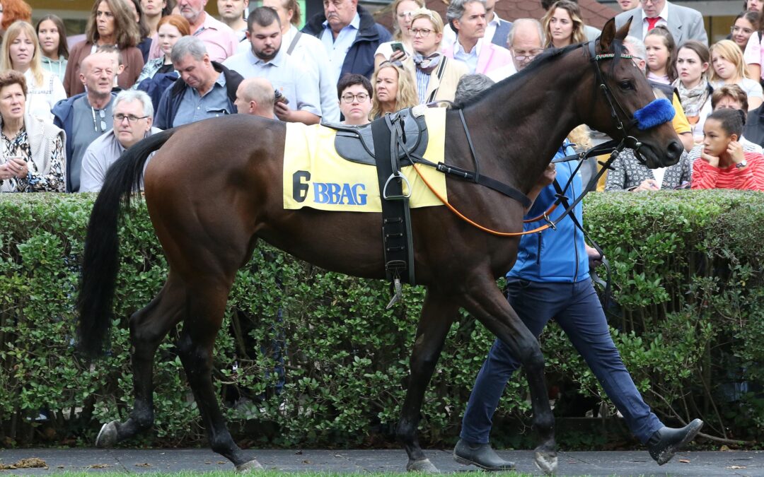 FORM KANN NICHT STIMMEN