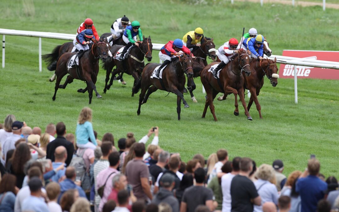 ALS STEHER DIESMAL VIERTER