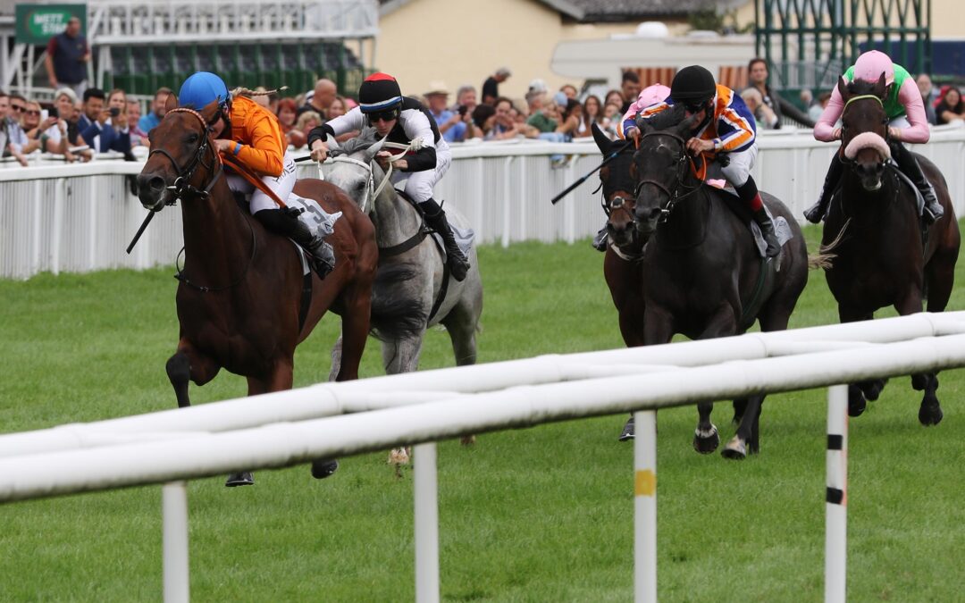 ERNEUT ENTTÄUSCHEND