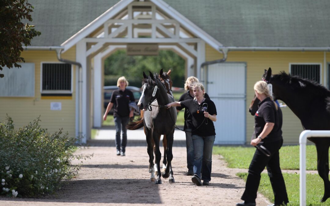 EINFACH WAS ZUM LESEN