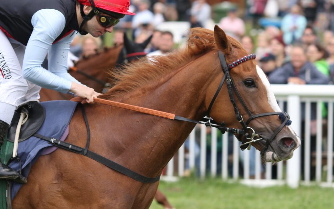 BLACKTYPE KNAPP VERPASST