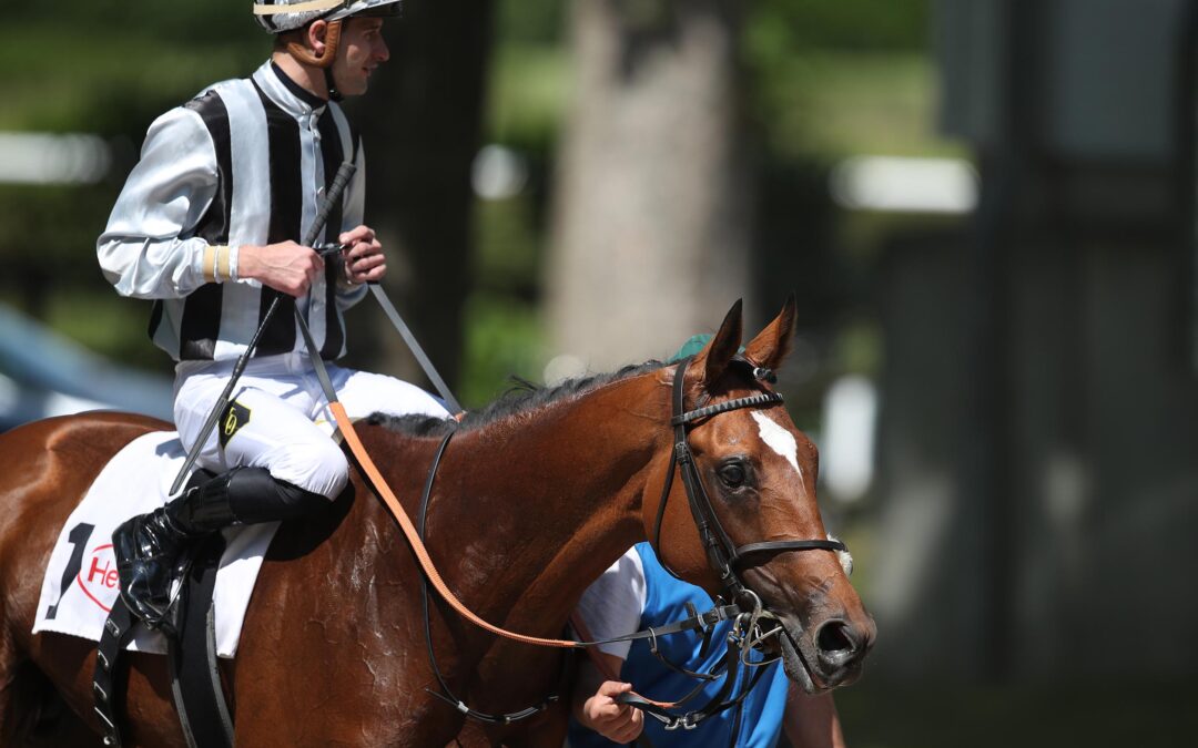 VIERTES GELD ERKÄMPFT