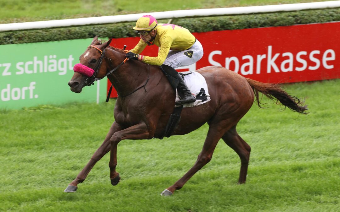 SEE HECTOR LOCKER LEICHT