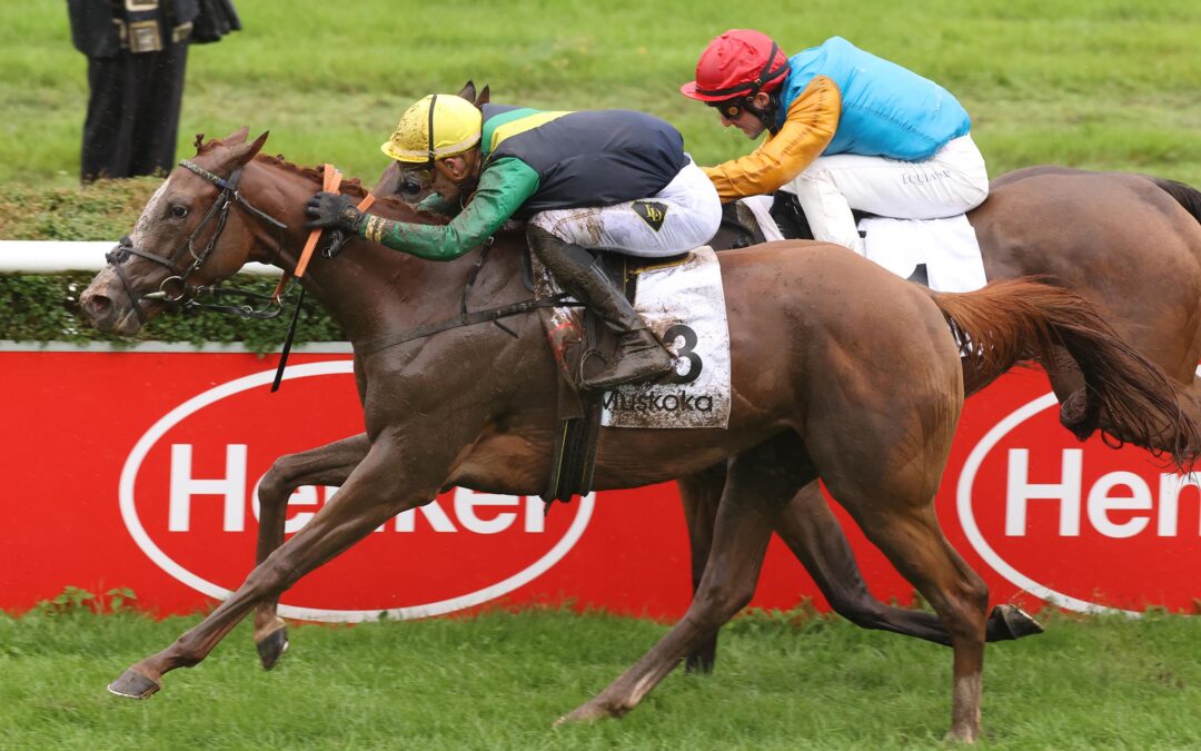 DIANA SIEG DURCH MUSKOKA