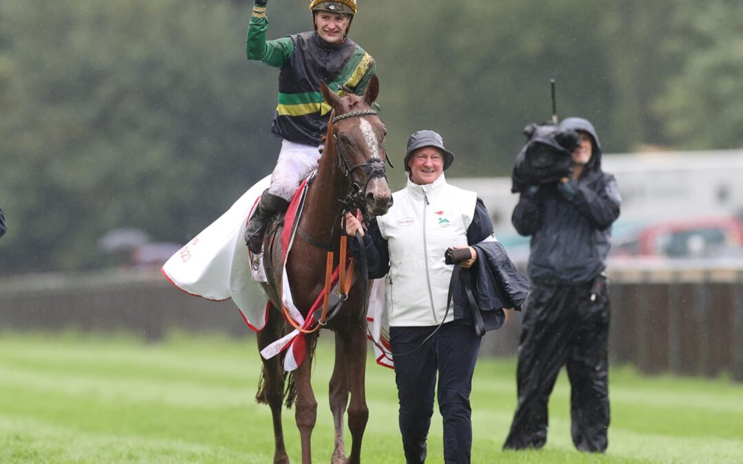 MUSKOKA JETZT 95 KILO