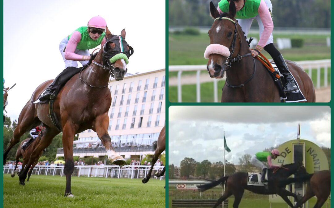 DREIFACHE DARIUS POWER