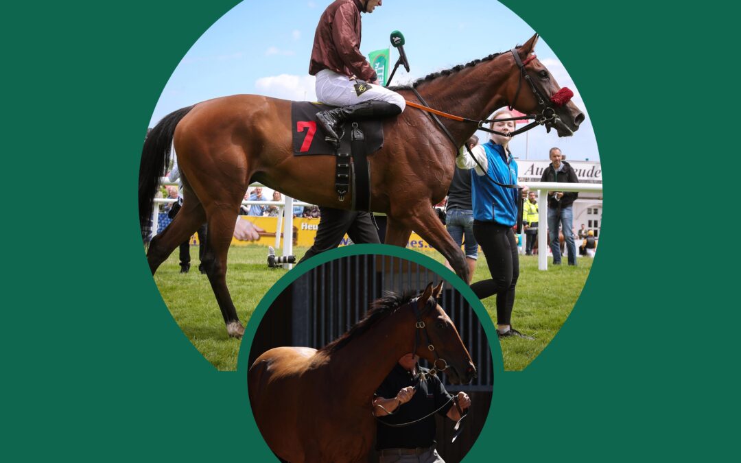 ZWEI STUTEN AM SAMSTAG