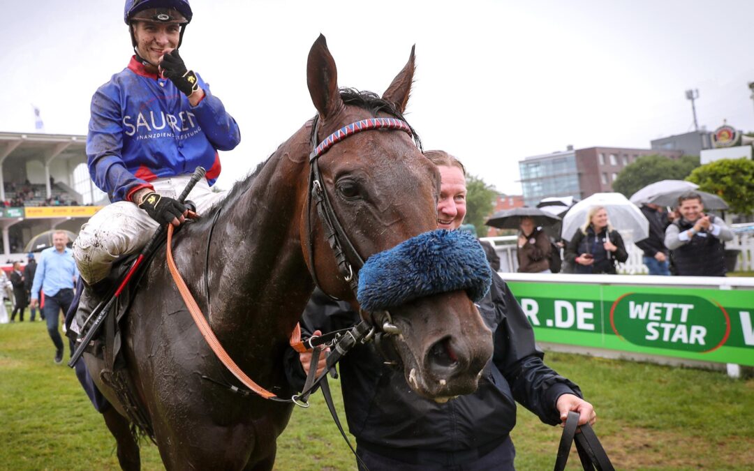 ALLEZ ALLEZ ASSISTENT