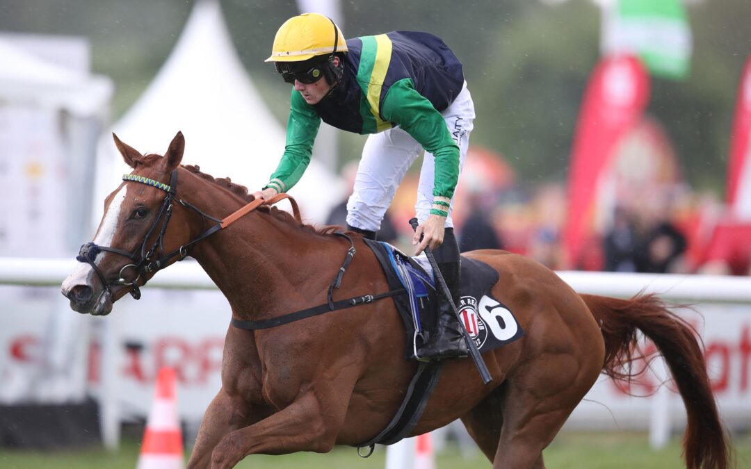 UM KLASSISCHEN LORBEER